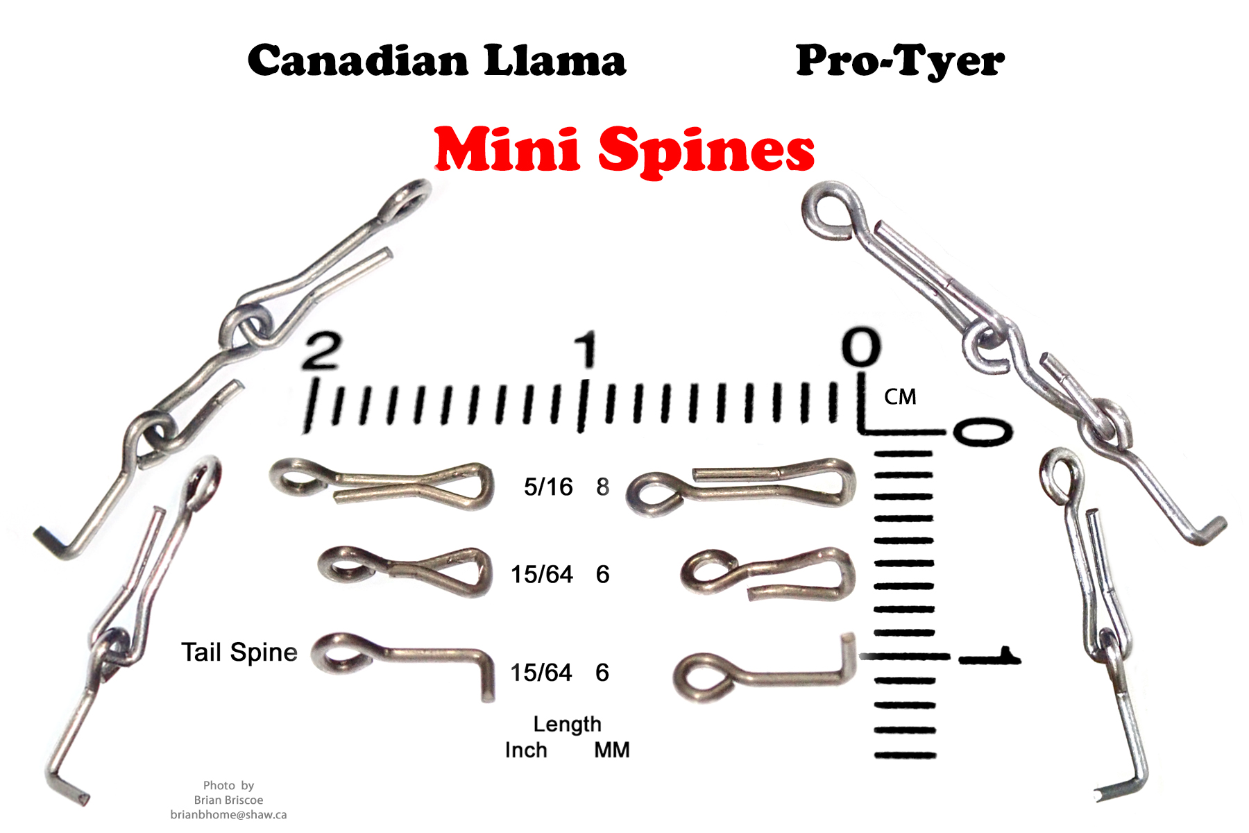 Articulated Mini Spines